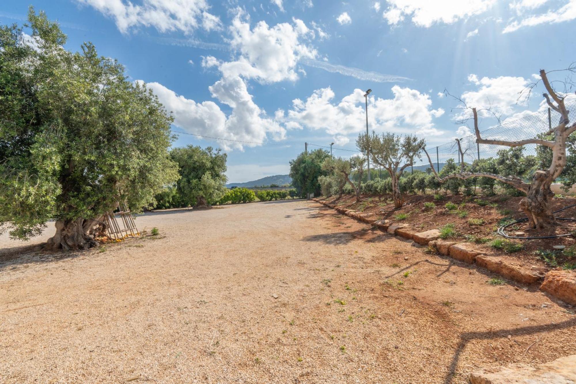 Dimora Tauro B&B ฟาซาโน ภายนอก รูปภาพ